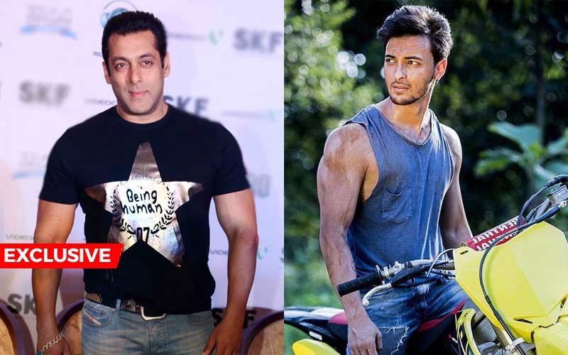 Salman Makes Brother-in-law Aayush First Assistant Director Of Sultan