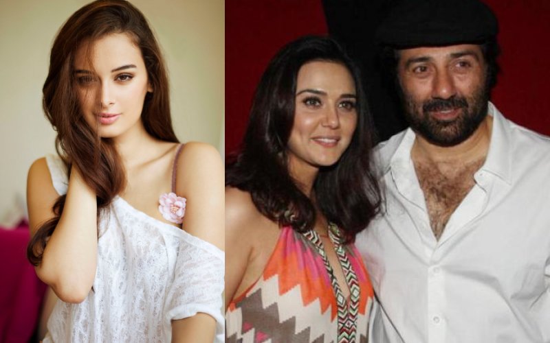 Video: Evelyn Sharma leaves Sunny Deol-Preity Zinta’s Bhaiyyaji Superhitt