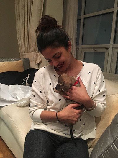 Priyanka_Chopra_cuddling_her_new_puppy.jpg