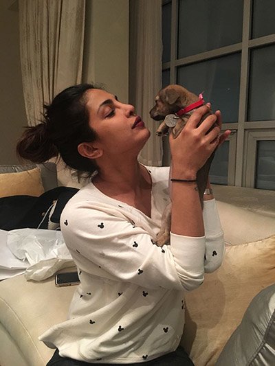 Priyanka_Chopra_with_her_new_puppy.jpg