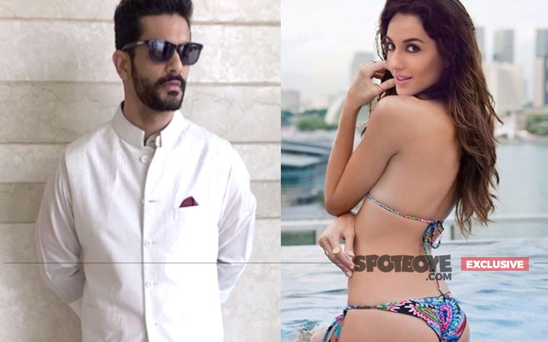IT'S OFFICIAL: Angad Bedi & Nora Fatehi Confirm Their Romance At Yuvraj's Wedding