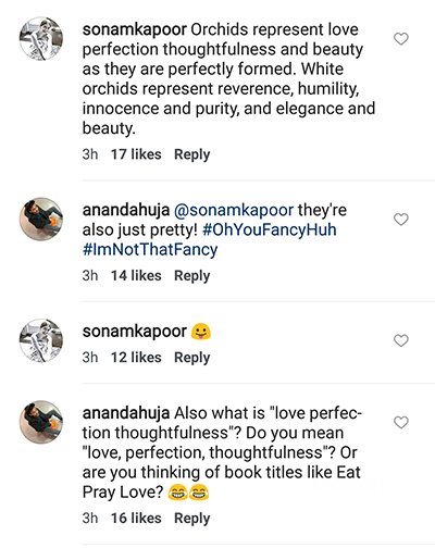 sonam kapoor chat with anand ahuja on instagram