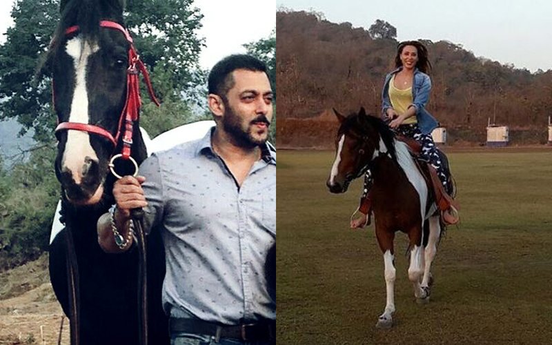 NEXT CHAPTER IN LOVE: Iulia Vantur Rides Salman Khan's Horse