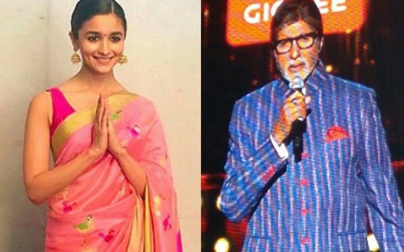 Zee Cine Awards 2017: Alia Bhatt & Amitabh Bachchan Crowned Best Actors