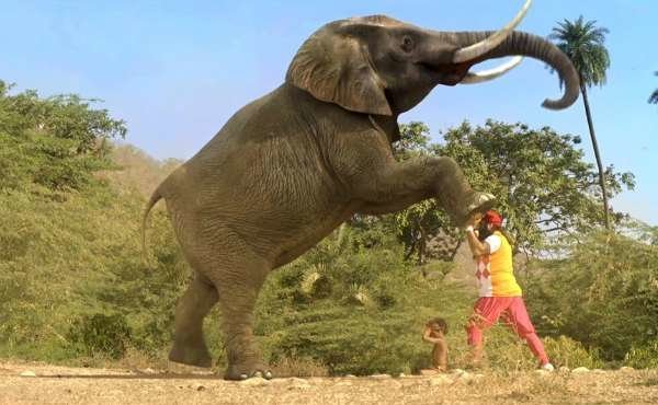 stills from movie msg 2