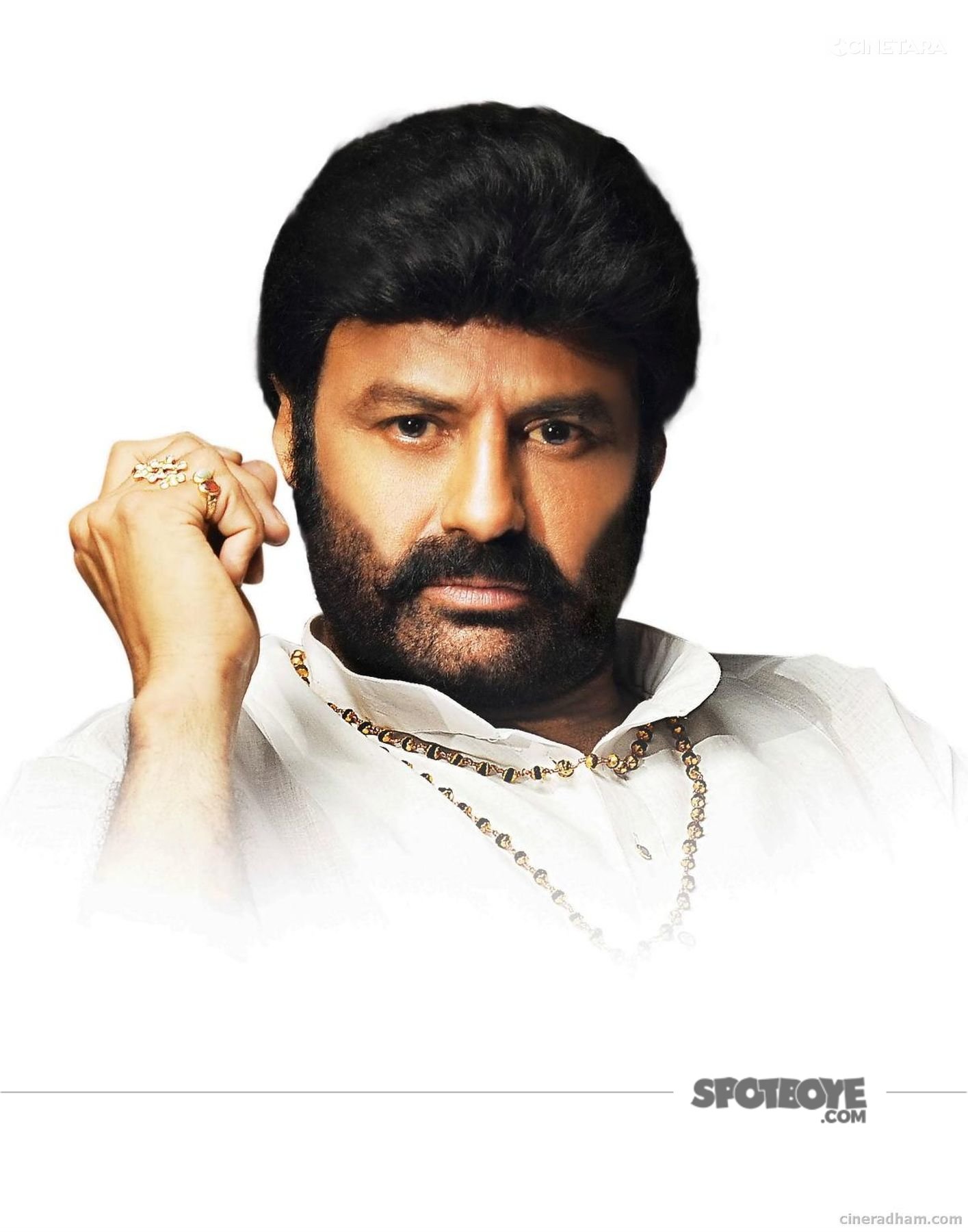 Balakrishna Nandamuri 