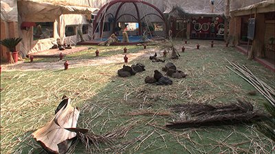 Bigg_Boss_contestants_are_made_to_spend_the_night_in_the_garden_area.jpg