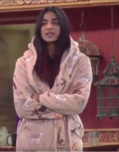 vj_bani_in_bigg_boss