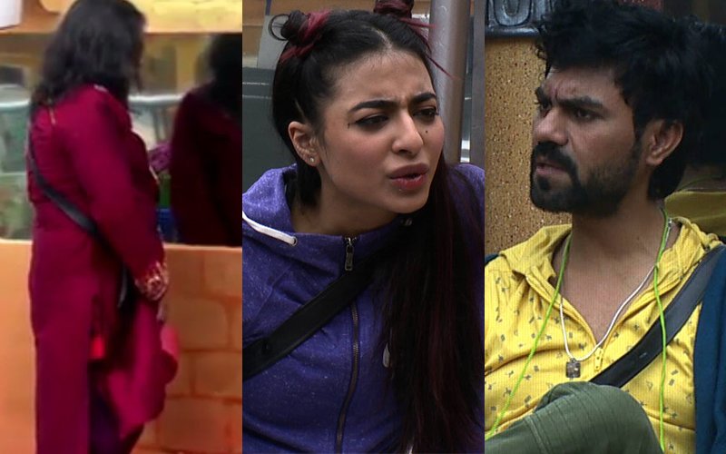 Bigg Boss 10, Day 51: Swamiji URINIATES; VJ Bani And Gaurav Have A BIG SHOWDOWN