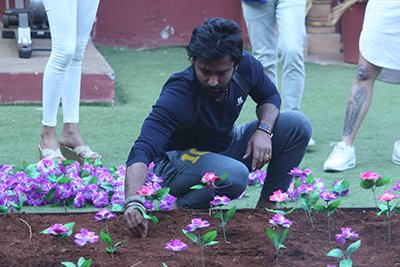 manveer gurjar planting flowers in flowerbed task