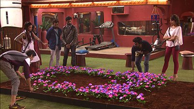 the flower bed task in bigg boss rohan mehra and manveer gurjar