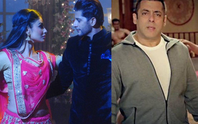 STATUS QUO ON TV: Naagin 2 Remains The Most Watched Show; Bigg Boss 10 Continues To Plunge