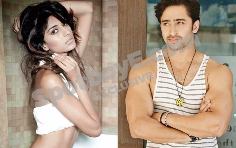 TV actors Erica Fernandes-Shaheer Sheikh’s hot rendezvous in Indonesia