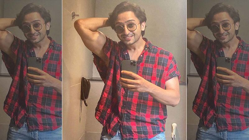 NewlyWed TV Actor Shaheer Sheikh Drops A Shirtless Picture On Insta, His Fans Go OTT While Expressing Their Excitement