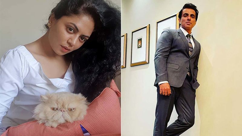 Kavita Kaushik Reacts To People Pouring Milk On Sonu Sood’s Flex; Says, ‘Sonu Will Be Unhappy With This Foolish And Uninspiring Act Of Wasting Milk’