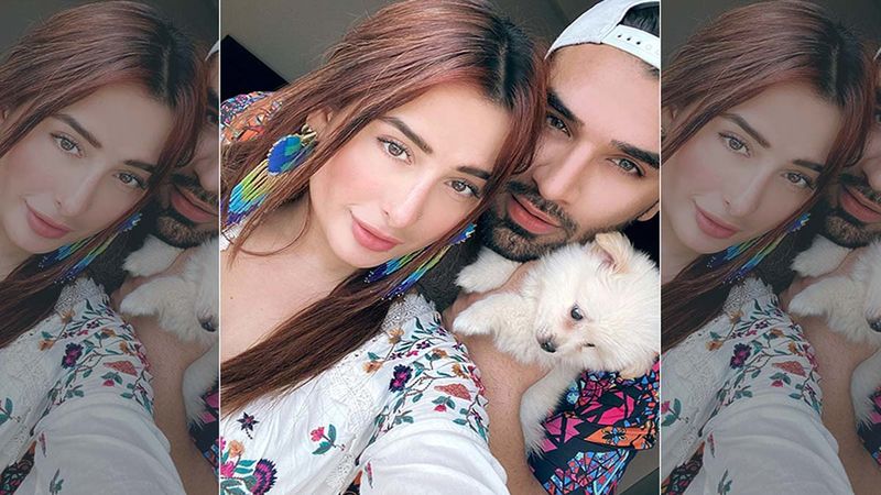 Bigg Boss 14: Bigg Boss 13's #Pahira Aka Mahira Sharma And Paras Chhabra To Enter The House For A Reason