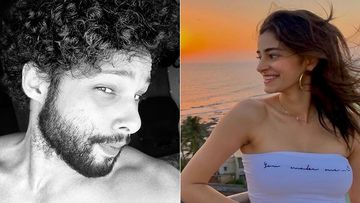 Khaali Peeli: Ananya Panday Receives Praise From Siddhant Chaturvedi For Her Film: 'Ek Numberrr, Seeti Maar'