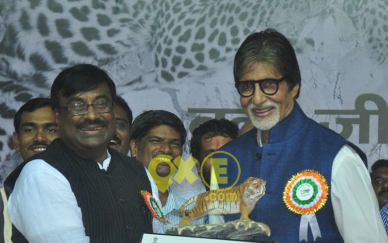 Amitabh Bachchan Debuts As Maharashtra's Tiger Ambassador