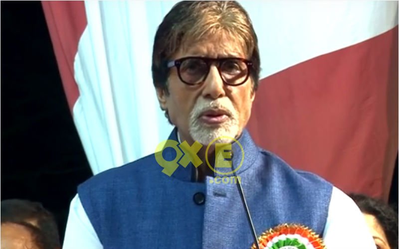 Bachchan: Saving Tigers Is Everybody's Responsibility