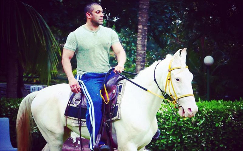Ride It Like Salman 'Sultan' Khan