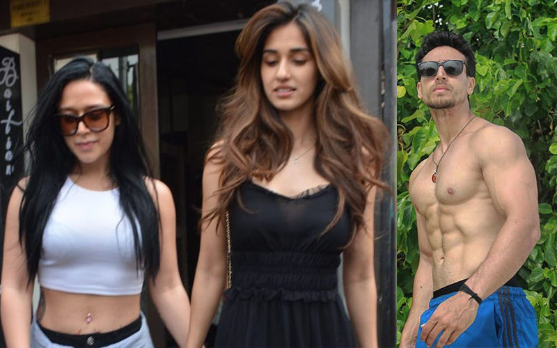 Tiger Shroff Is 100 Percent Single, Confirms Sister Krishna Shroff