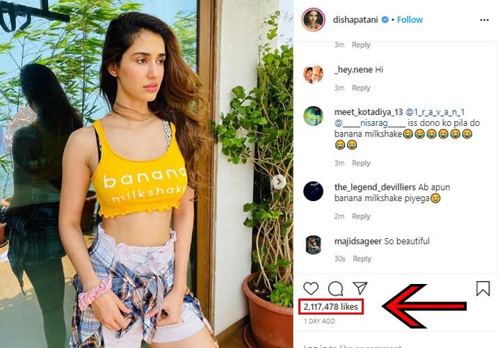 Disha Disha