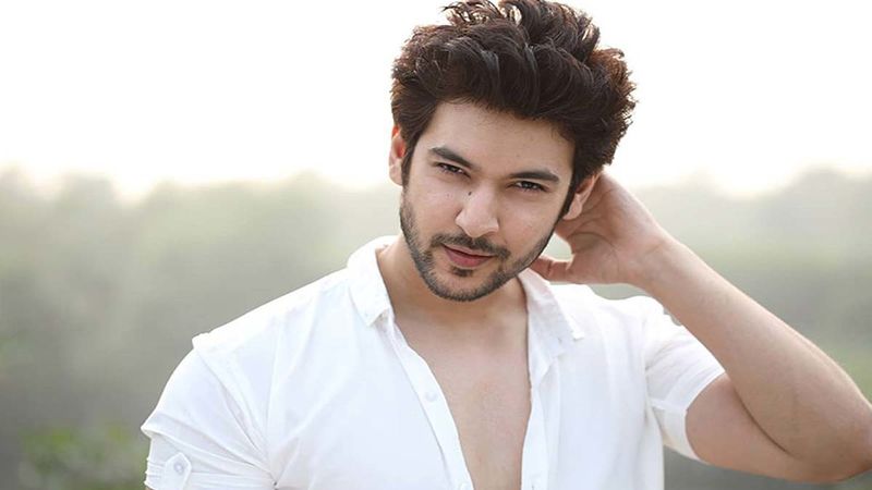 Is Shivin Narang In Talks For The Lead Role In Naagin 5?