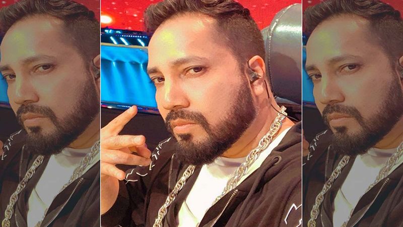 Mika Singh Is Disappointed As Former Singing Reality Show Judges Speak Ill About The Show