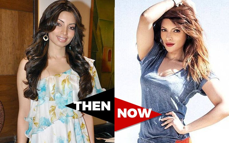 Only Sex Please No Kiss Says Tv Actress Shama Sikander