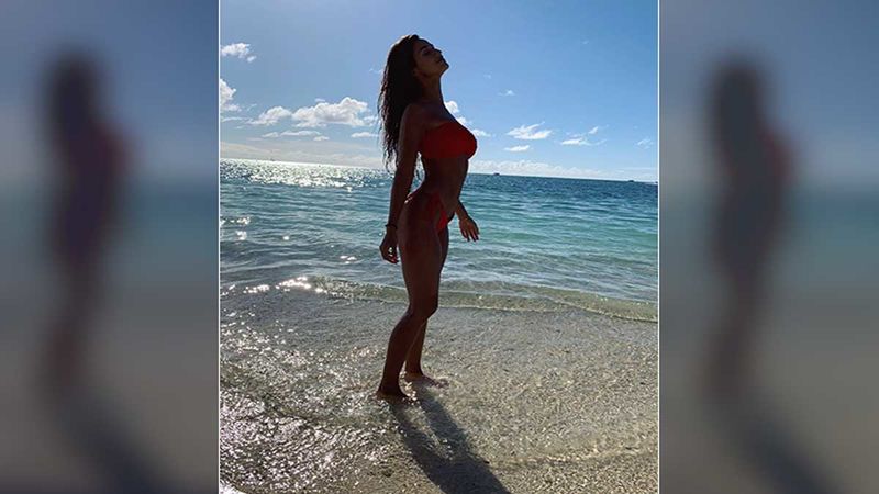 Disha Patani Raises The Mercury Levels With An Insanely Hot Picture In A Red Bikini