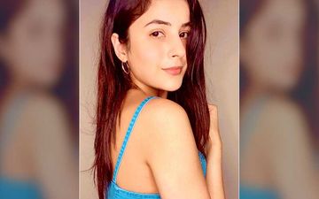 Bigg Boss 14 Grand Premiere: Bigg Boss 13 Contestant Shehnaaz Gill To Not Be Seen On Premiere Night?