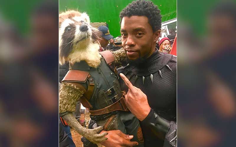 Black Panther 2 To Not Have Late Actor Chadwick Boseman’s Digital Double; Marvel Executive Producer Confirms-Deets INSIDE