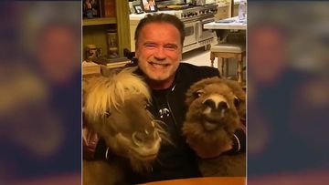 Coronavirus Outbreak: Arnold Schwarzenegger Wants Fans To Stay Home And Ignore The Morons; Has Best Way To Fight The Virus-WATCH