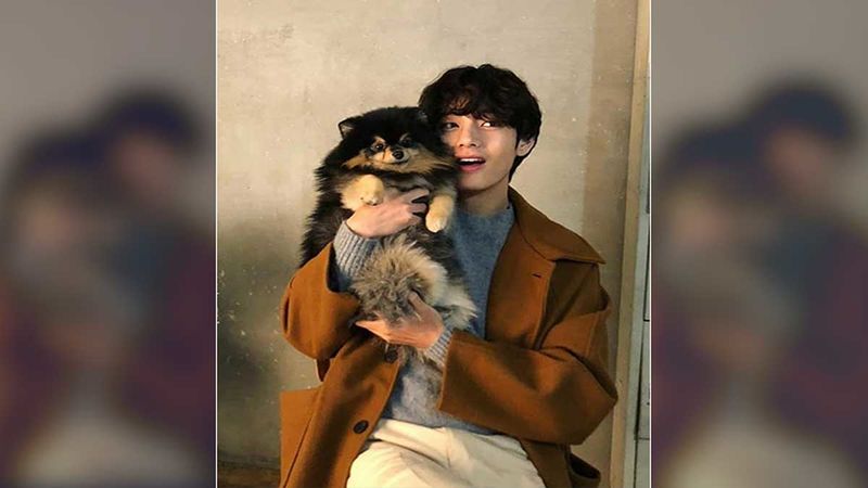 BTS Member V's Cute Pet Dog Yeontan Leaves Fans In Frenzy As He Accompanies Singer During Work Hours-WATCH