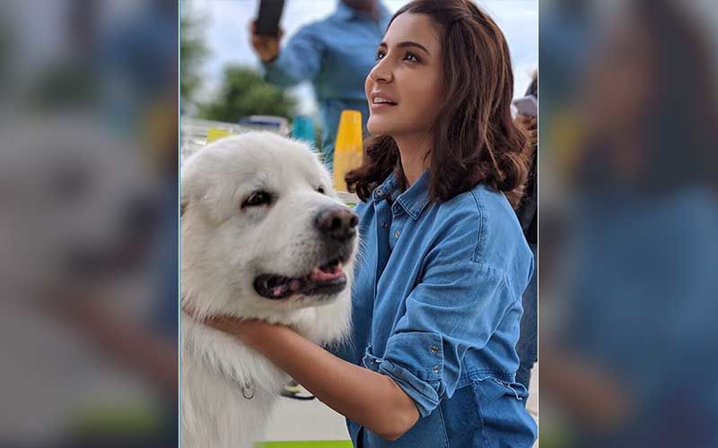 Anushka Sharma Requests Fans To Note The Time Allotted By Mumbai Police To Feed Stray Animals During The Lockdown