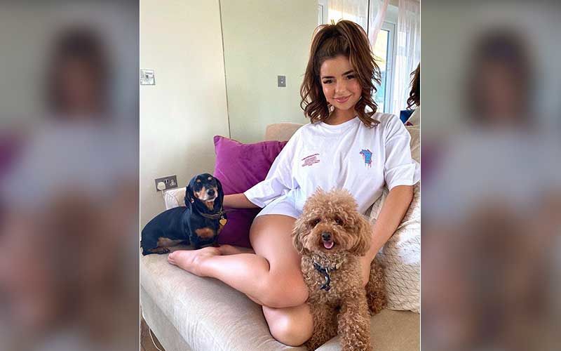 Demi Rose Puts Her Sexy Legs On Display While Petting Her Dogs; Mesmerizes With Her Million-Dollar Smile
