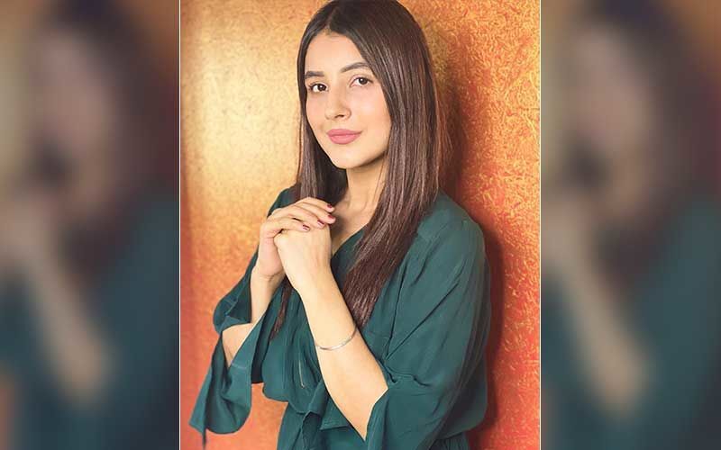 Shehnaaz Gill Confesses She Was Desperately Waiting To Get Noticed, Says, ‘Main Taras Rahi Thi, Ki Log Mujhe Dekhein, Pasand Karein’