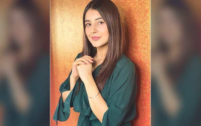 Shehnaaz Gill RECALLS Childhood Sex Education; Actress Reveals She Once Asked Her Mom How She Was Born-See Funny VIDEO
