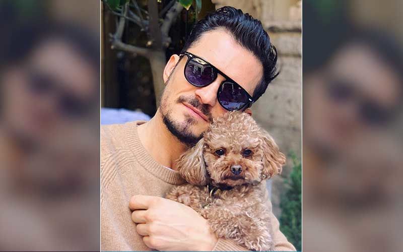 Orlando Bloom Offers Reward For Katy Perry And His Missing Pooch Mighty; Actor Reveals He’s Already ‘Heartbroken’