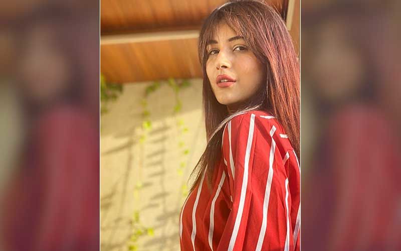 Know All About Shehnaaz Gill's Sunday Cheat Meal And Movie Sesh; Bigg Boss 13 Contestant Shares Interesting Details