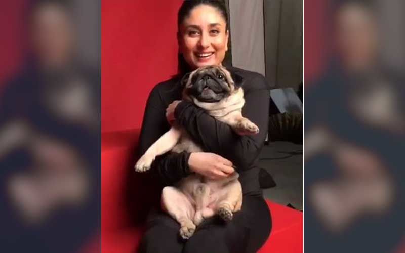 Kareena Kapoor Khan Shares A Video Of Her Shooting With Her Favourite Co-Star Leo; The Actress Holding Her New Buddy Is Adorbs-WATCH