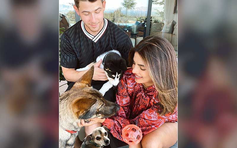 Priyanka Chopra Jonas And Hubby Nick Jonas Welcome Pet Dog Panda; Actress Shares New Family Portrait