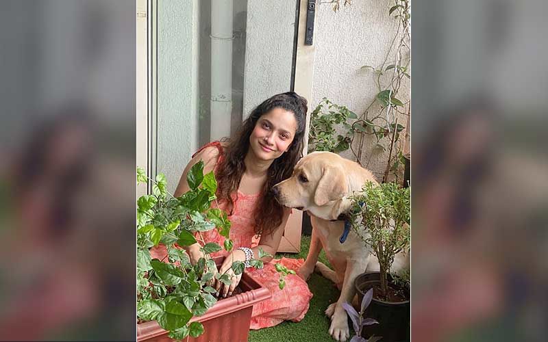 After Sushant Singh Rajput’s Demise, Former Ladylove Ankita Lokhande And Her Partner Join #Plants4SSR Social Media Campaign