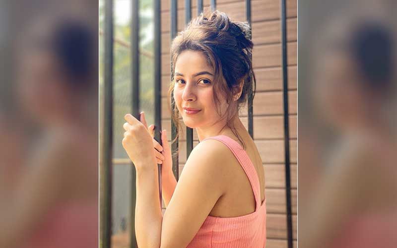 Bigg Boss 13 Fame Shehnaaz Gill Reveals What She Eats To Stay Fit; Shares The Secret Behind Her Fabulous Physique
