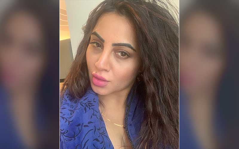Bigg Boss 14: Challenger Arshi Khan Is A Qualified Physiotherapist? Deets INSIDE