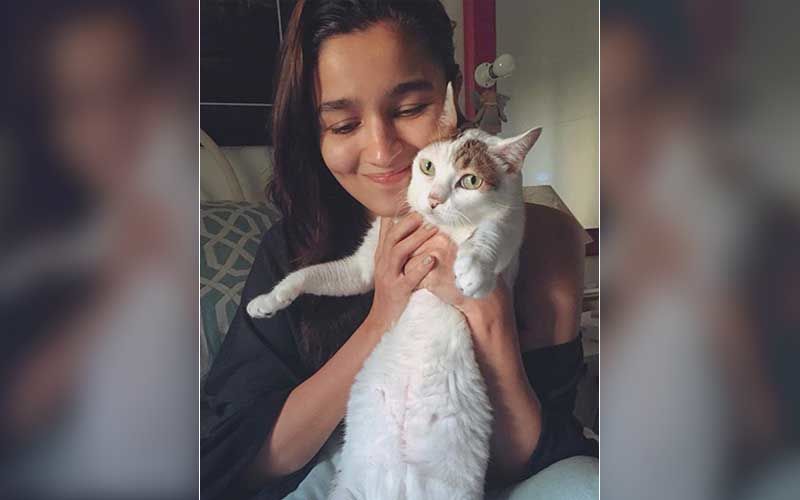 Alia Bhatt’s Pet Cat Sheeba Passes Away; Actor Drops An Emotional Post; Says A Final Goodbye To Her ‘Angel’