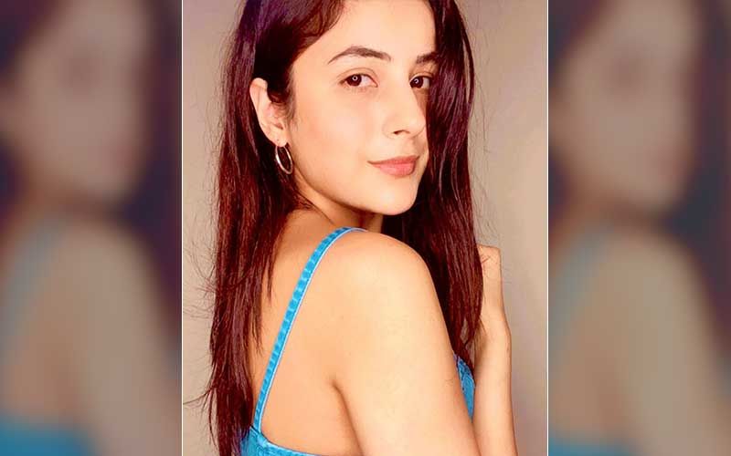 Bigg Boss 13 Fame Shehnaaz Gill Inspired Beauty And Skin Care Tips For A Flawless Radiant Skin And Luscious Long Hair