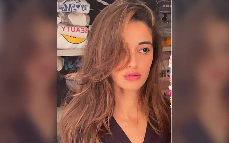 Ananya Panday Raises Question Over Being Called ‘Struggling Didi’; Actress Has A Message For Haters Filled With ‘Zeher’