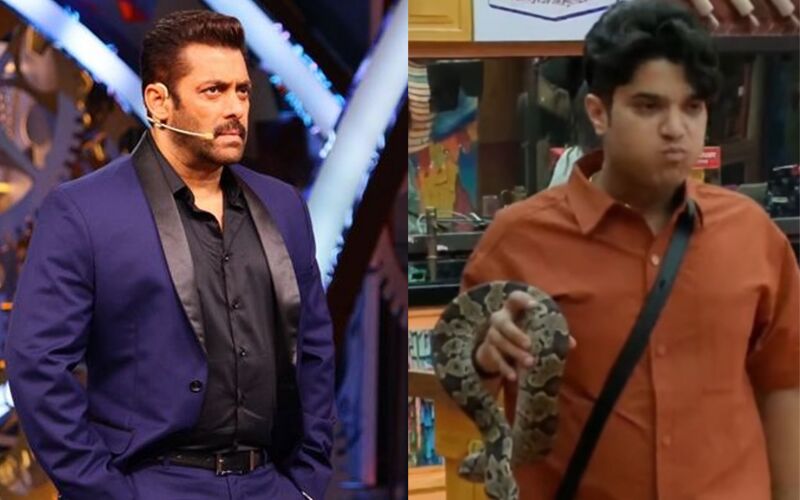 Bigg Boss 19: Mridul Tiwari Captures Snake Inside House, Netizens Flood Social Media With Hilarious Reactions