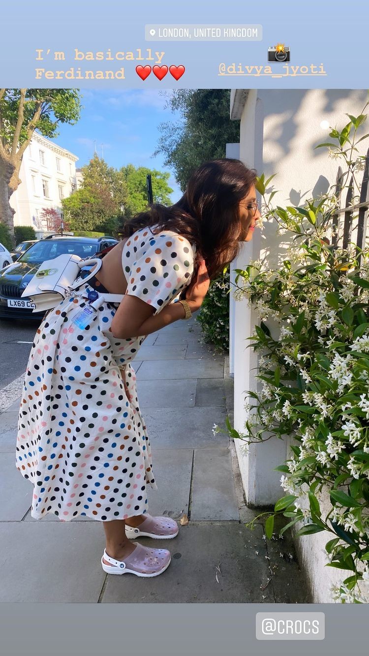 Priyanka Chopra Jonas Instagram stories